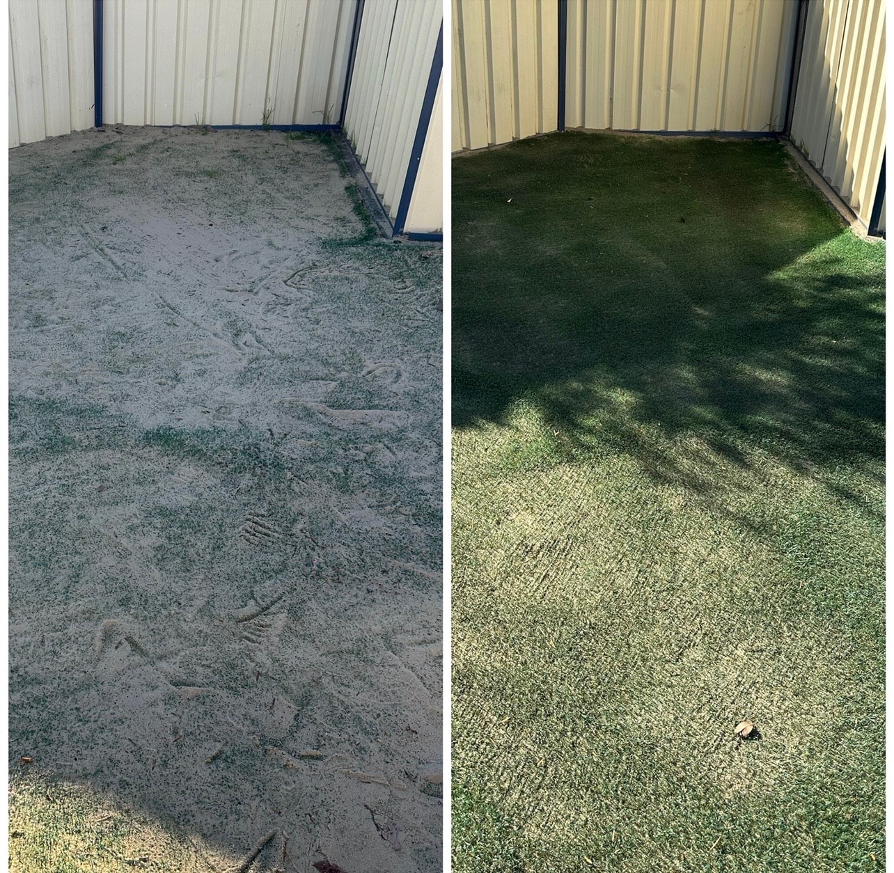 Fence corner artificial grass before and after cleaning